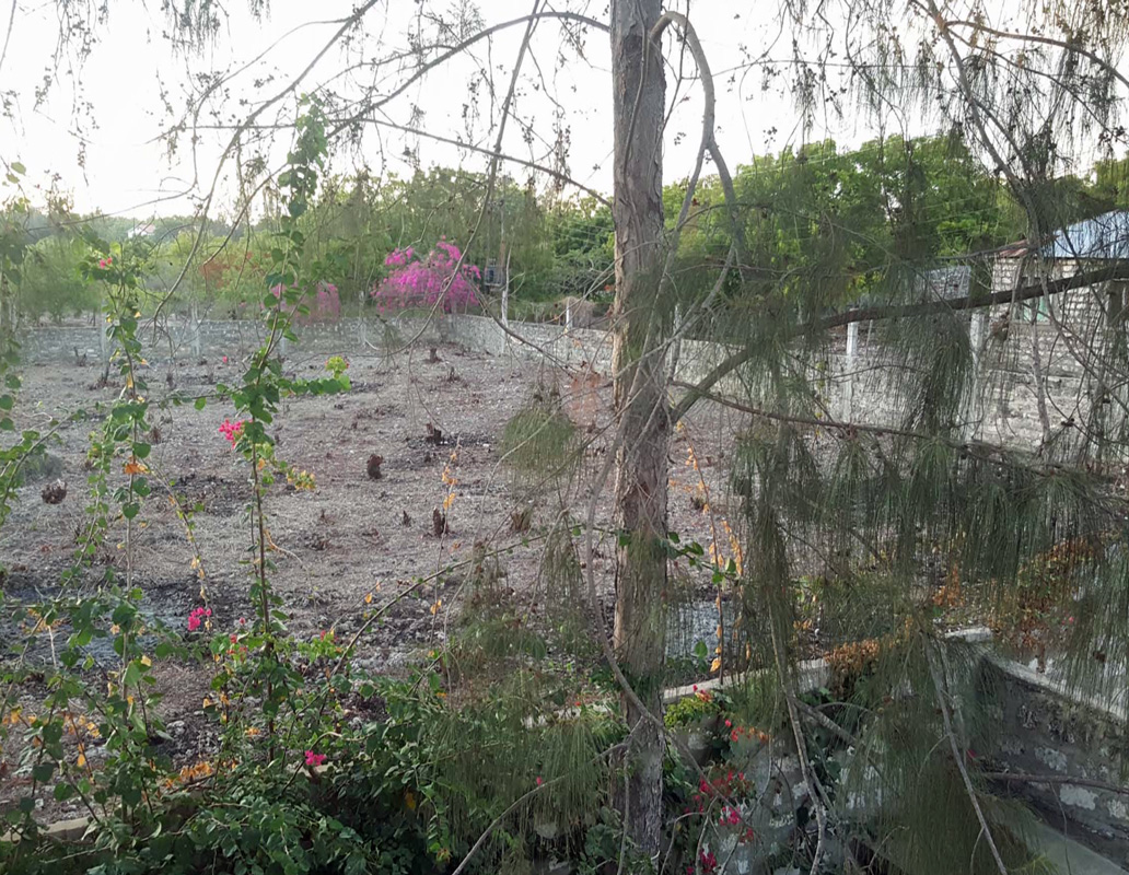 2 X HALF ACRE PLOTS IN MIDA FOREST
