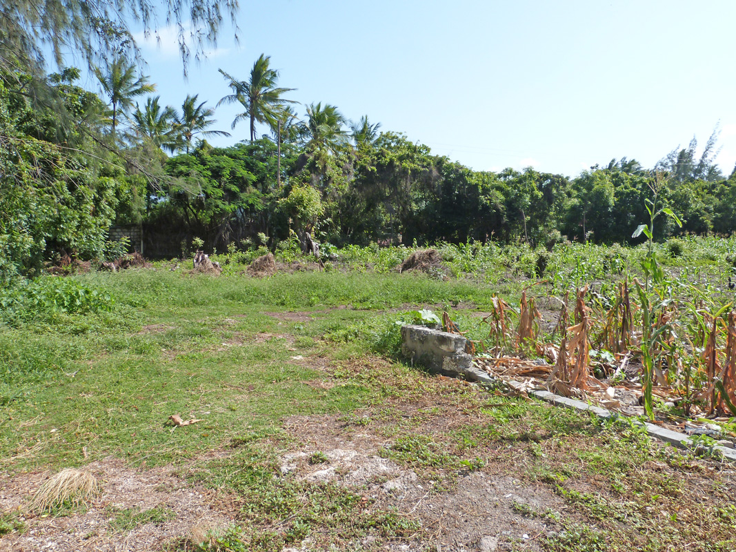 2 X HALF ACRE PLOTS IN MIDA FOREST