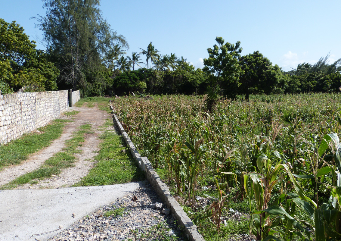 2 X HALF ACRE PLOTS IN MIDA FOREST