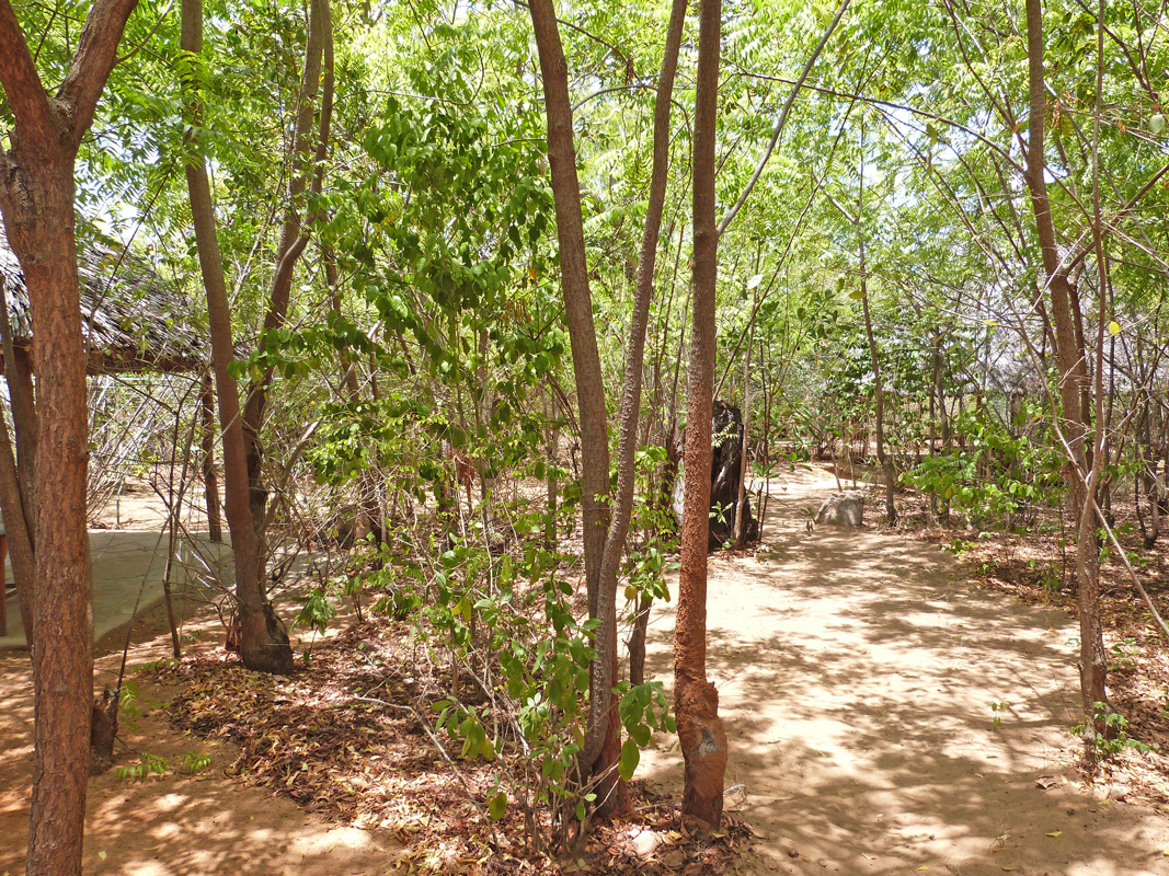 BEAUTIFUL HALF ACRE PROPERTY ON THE EDGE OF THE MANGROVES