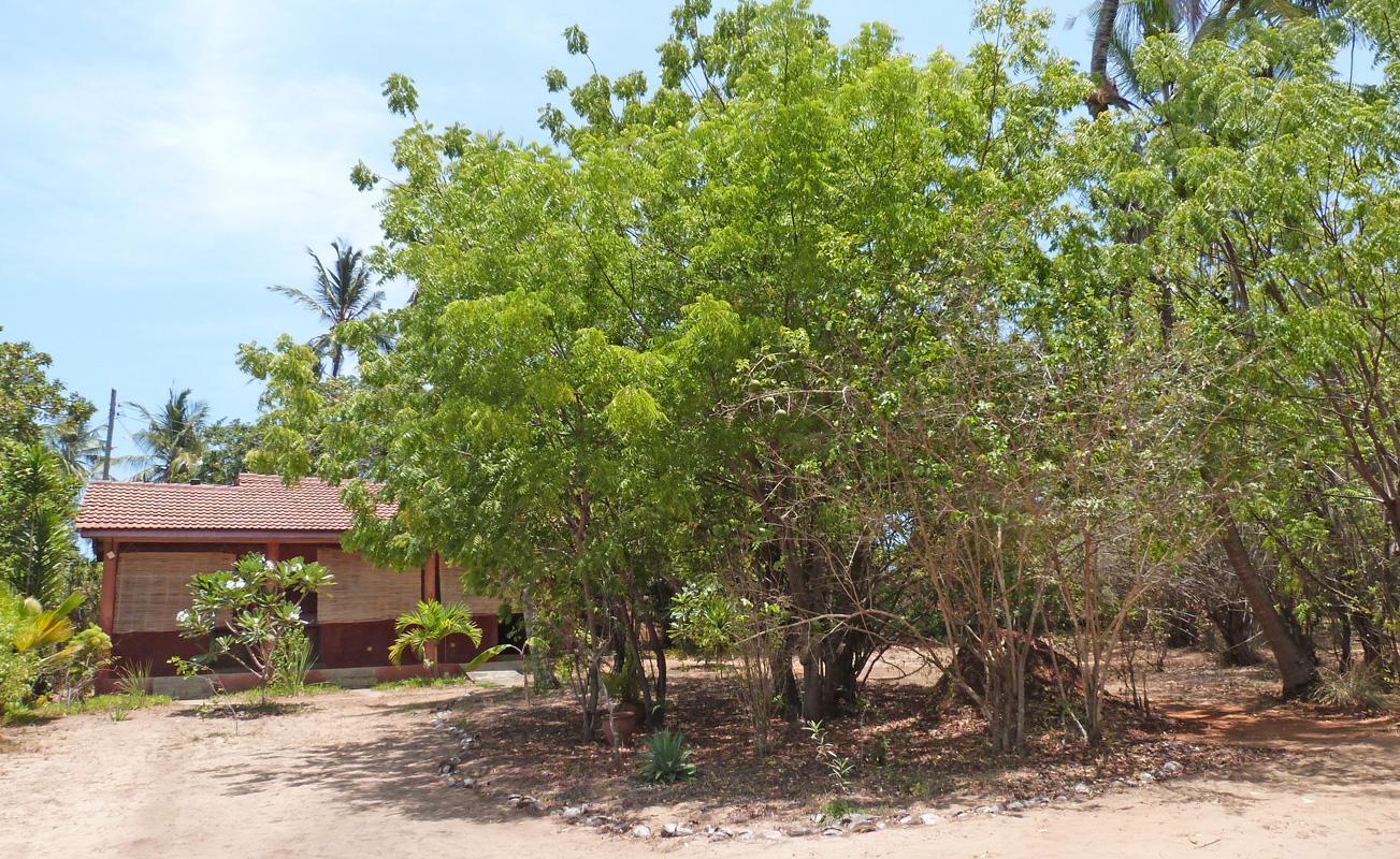 BEAUTIFUL HALF ACRE PROPERTY ON THE EDGE OF THE MANGROVES