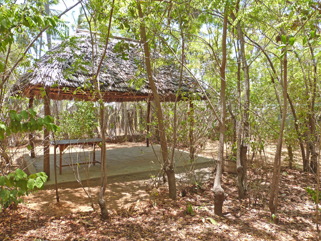 BEAUTIFUL HALF ACRE PROPERTY ON THE EDGE OF THE MANGROVES