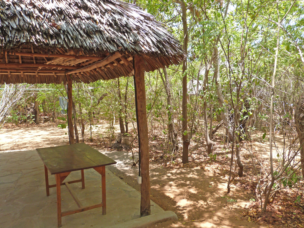 BEAUTIFUL HALF ACRE PROPERTY ON THE EDGE OF THE MANGROVES