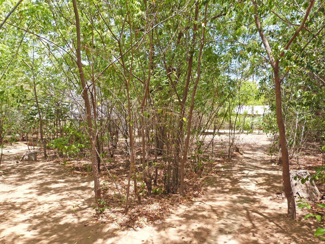 BEAUTIFUL HALF ACRE PROPERTY ON THE EDGE OF THE MANGROVES
