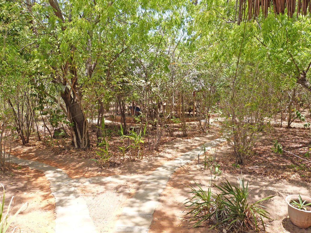 BEAUTIFUL HALF ACRE PROPERTY ON THE EDGE OF THE MANGROVES