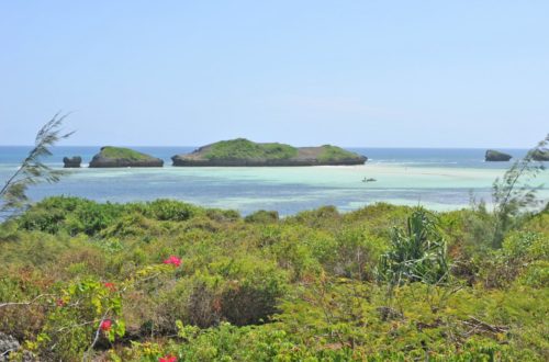 7 INDIVIDUAL UNDEVELOPED PLOTS FOR YOUR WATAMU HOME SEVEN ISLANDS – NORTH WATAMU