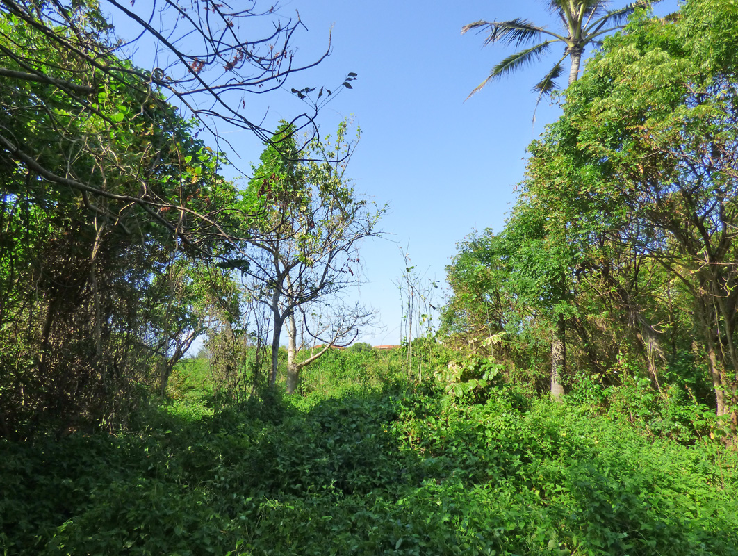 7 INDIVIDUAL UNDEVELOPED PLOTS FOR YOUR WATAMU HOME SEVEN ISLANDS – NORTH WATAMU