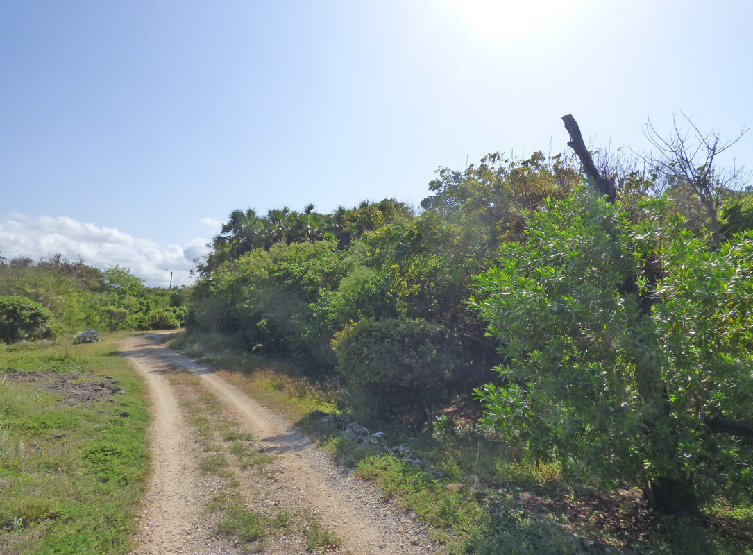 7 INDIVIDUAL UNDEVELOPED PLOTS FOR YOUR WATAMU HOME SEVEN ISLANDS – NORTH WATAMU