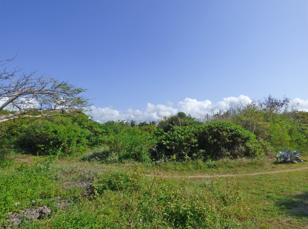 7 INDIVIDUAL UNDEVELOPED PLOTS FOR YOUR WATAMU HOME SEVEN ISLANDS – NORTH WATAMU
