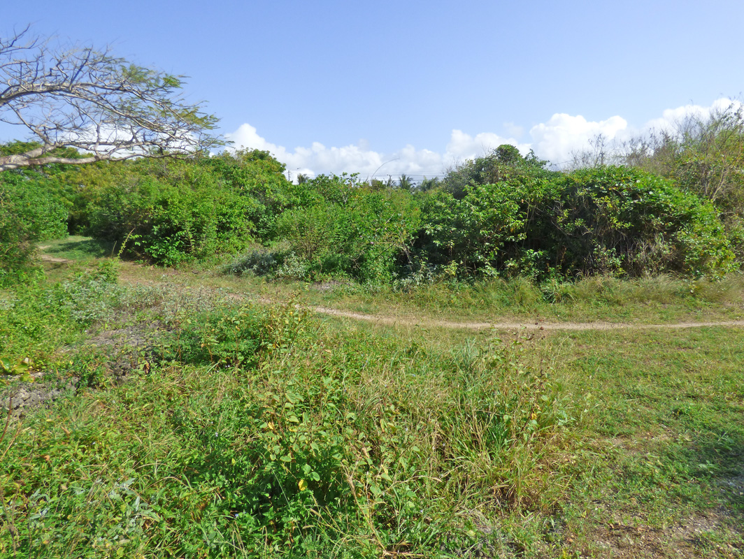 7 INDIVIDUAL UNDEVELOPED PLOTS FOR YOUR WATAMU HOME SEVEN ISLANDS – NORTH WATAMU