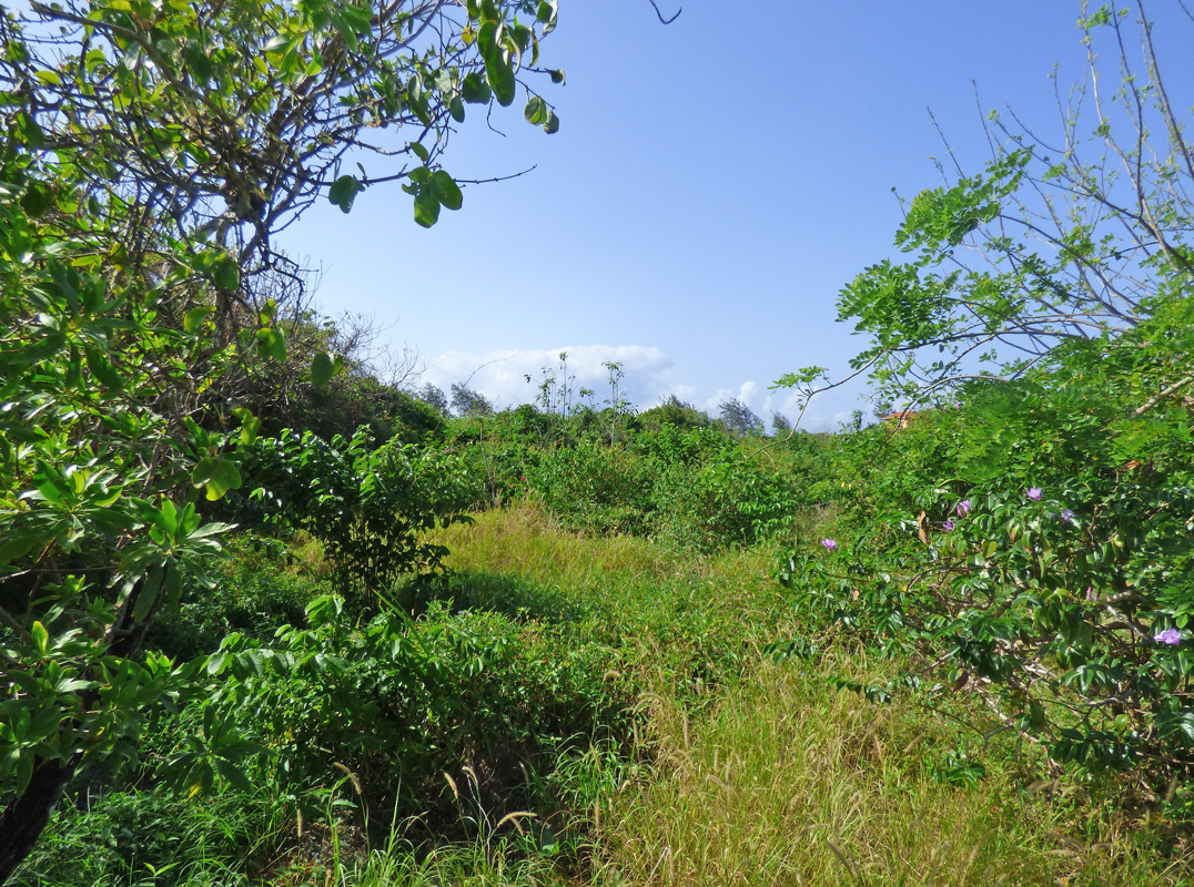 7 INDIVIDUAL UNDEVELOPED PLOTS FOR YOUR WATAMU HOME SEVEN ISLANDS – NORTH WATAMU