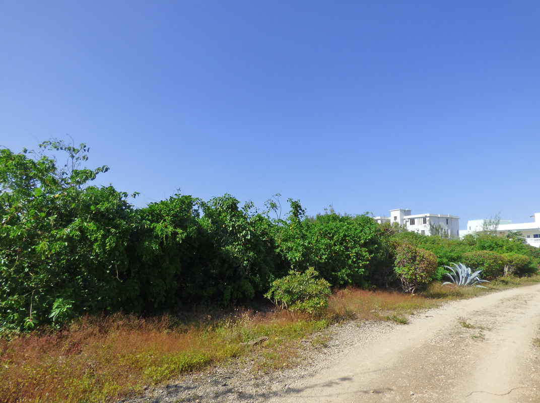 7 INDIVIDUAL UNDEVELOPED PLOTS FOR YOUR WATAMU HOME SEVEN ISLANDS – NORTH WATAMU