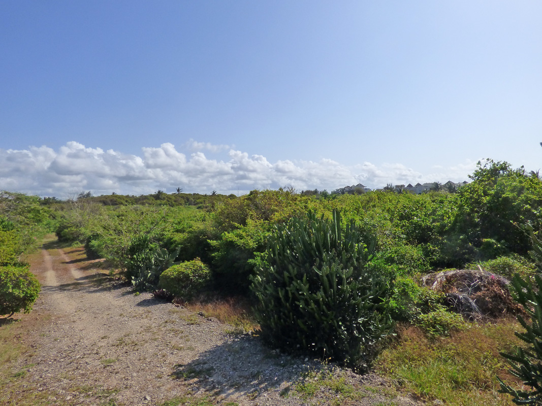 7 INDIVIDUAL UNDEVELOPED PLOTS FOR YOUR WATAMU HOME SEVEN ISLANDS – NORTH WATAMU