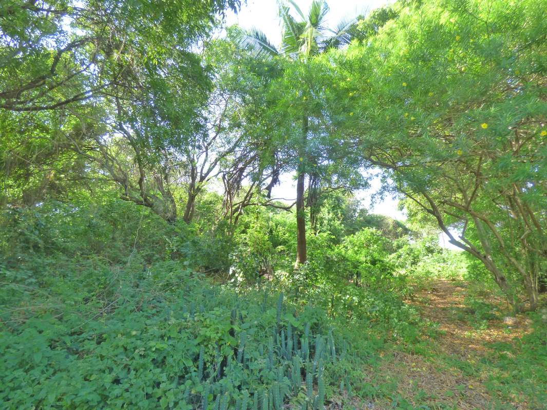 7 INDIVIDUAL UNDEVELOPED PLOTS FOR YOUR WATAMU HOME SEVEN ISLANDS – NORTH WATAMU