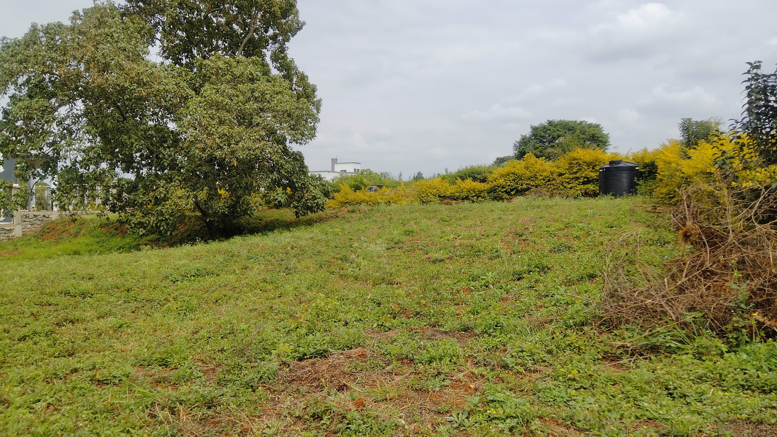 This offering includes 0.5 acres of prime land located within the prestigious Kijani Ridge development