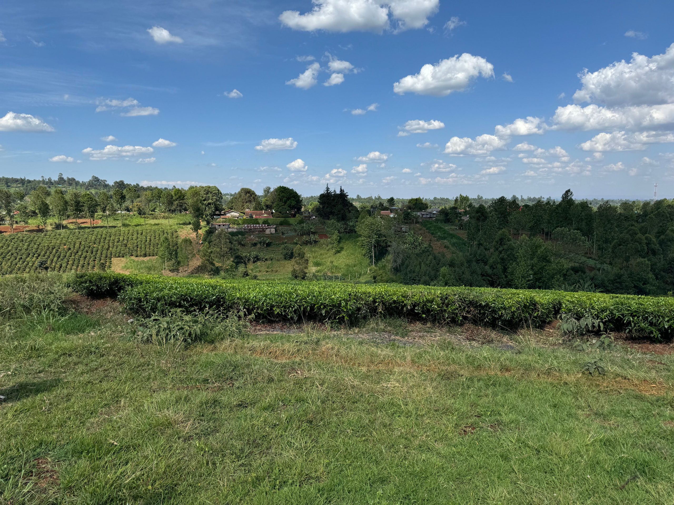22-acres agricultural property located in the lush and serene region of Cianda, Kiambu County