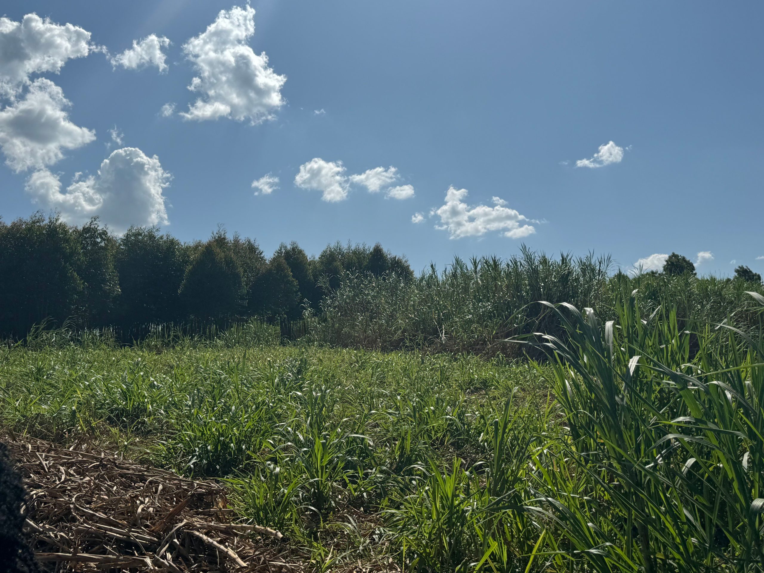 22-acres agricultural property located in the lush and serene region of Cianda, Kiambu County
