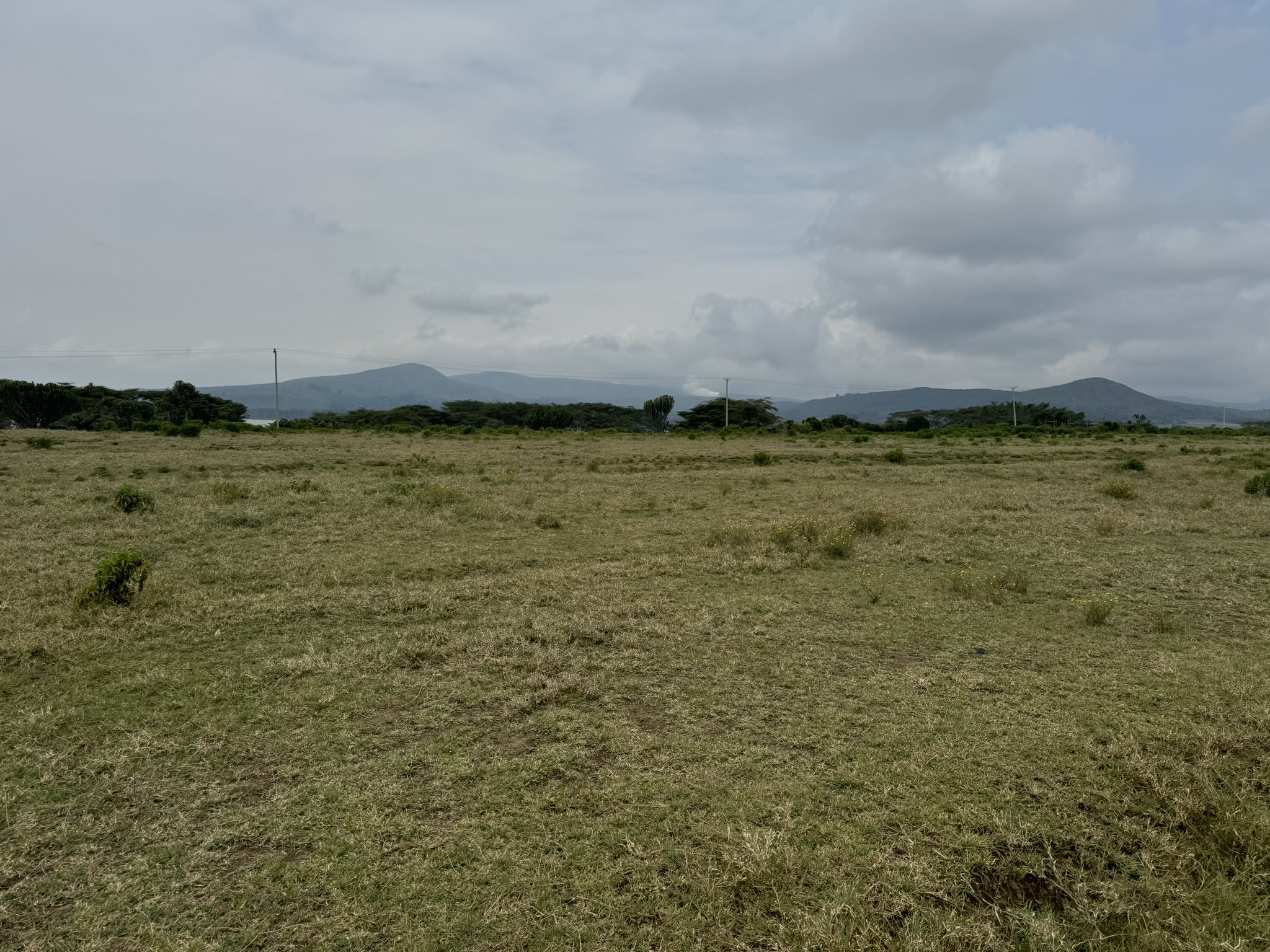 1000 acre conservancy in Naivasha