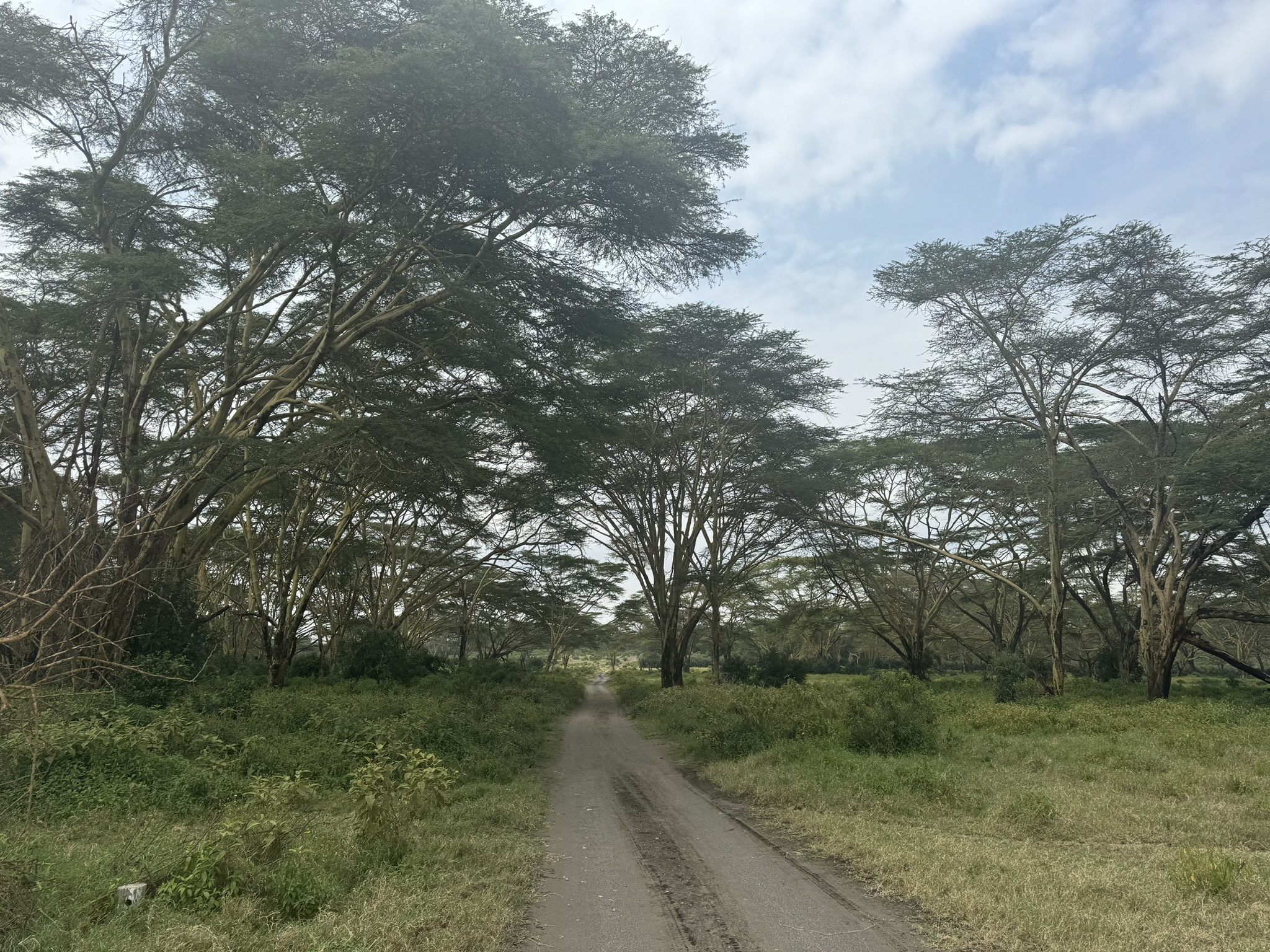 1000 acre conservancy in Naivasha