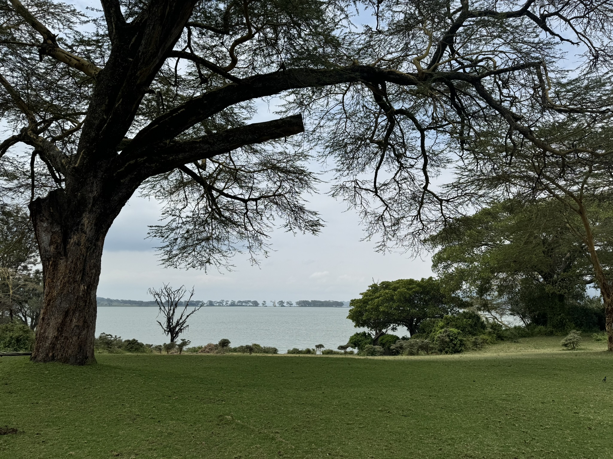 1000 acre conservancy in Naivasha