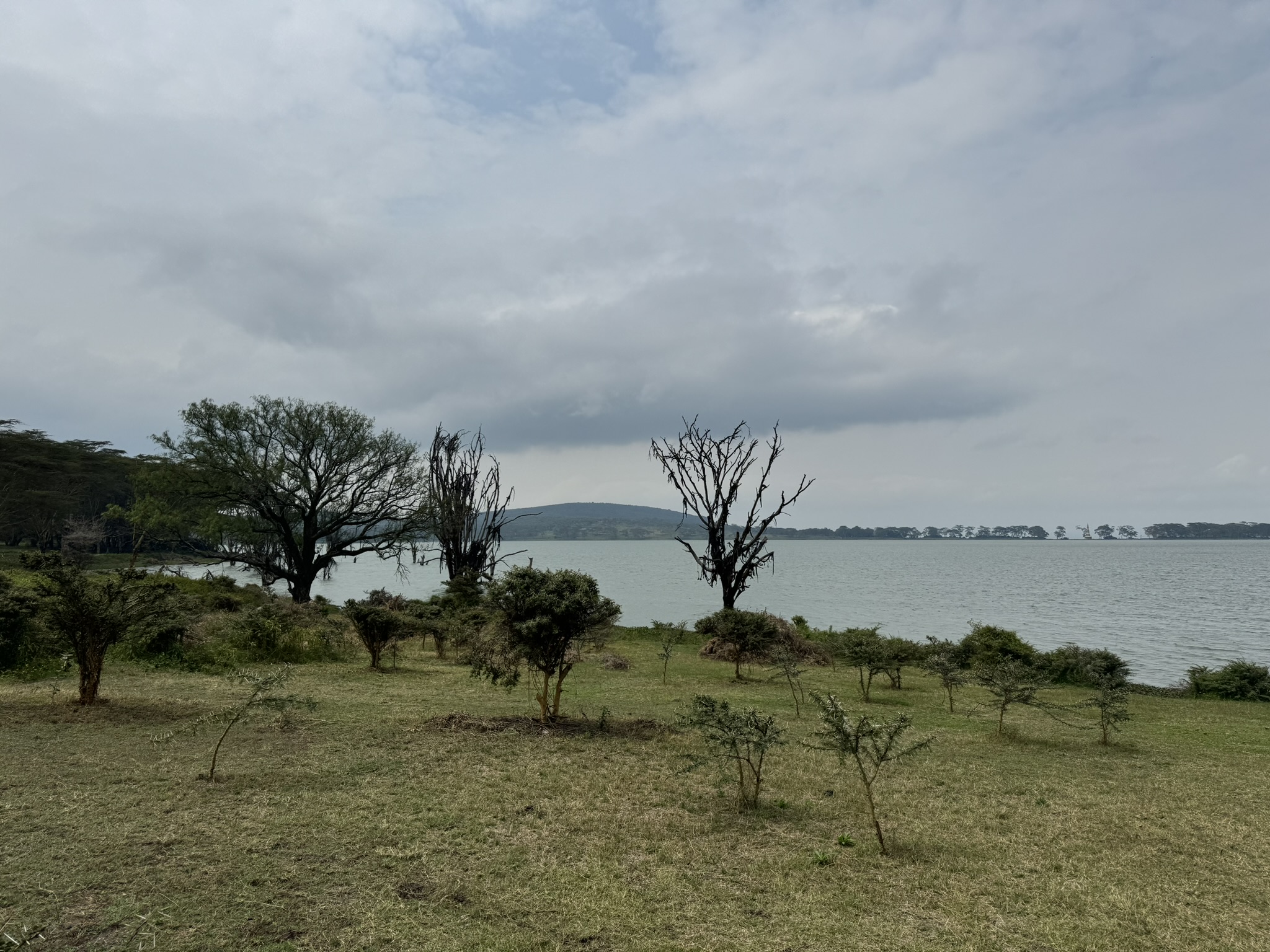 1000 acre conservancy in Naivasha