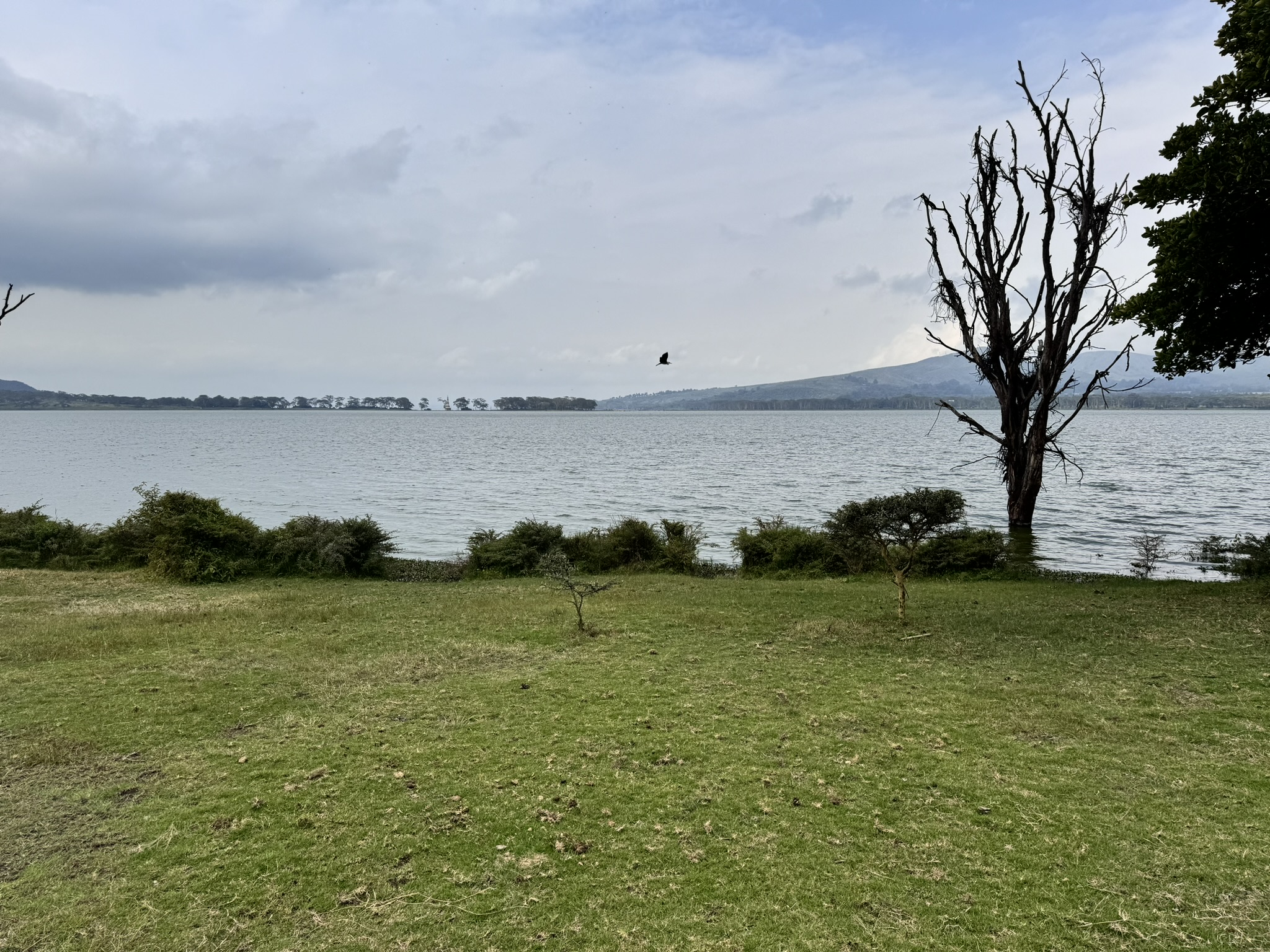 1000 acre conservancy in Naivasha