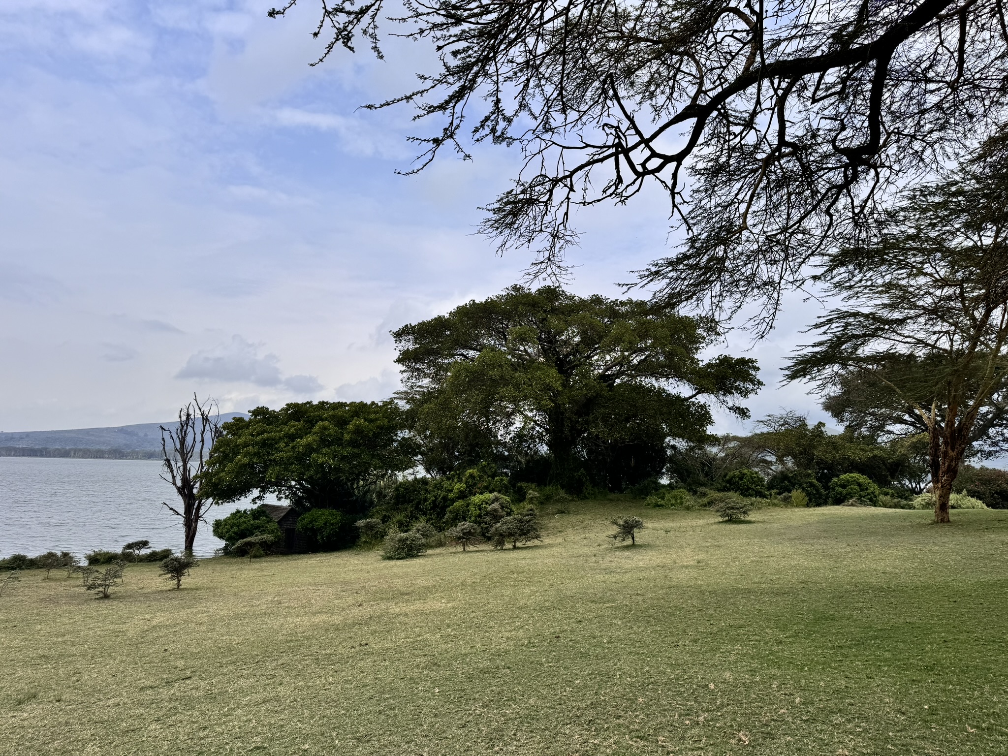 1000 acre conservancy in Naivasha
