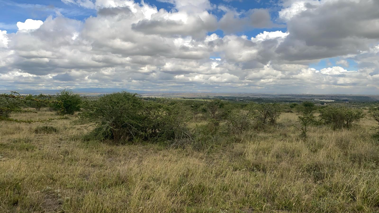 A 1-acre plot near Daystar University’s main campus in Athi River for sale