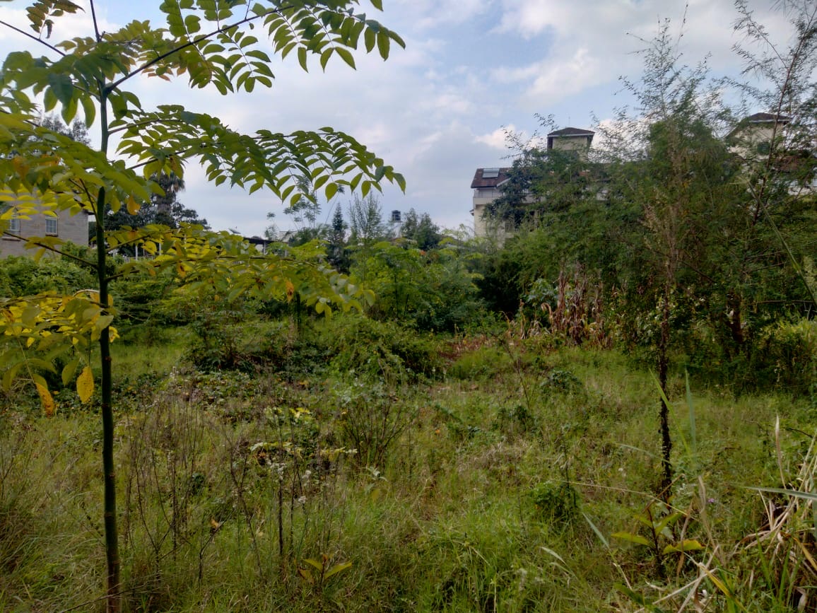 A 0.6 acres of prime land in the highly sought-after neighborhood of Gigiri.