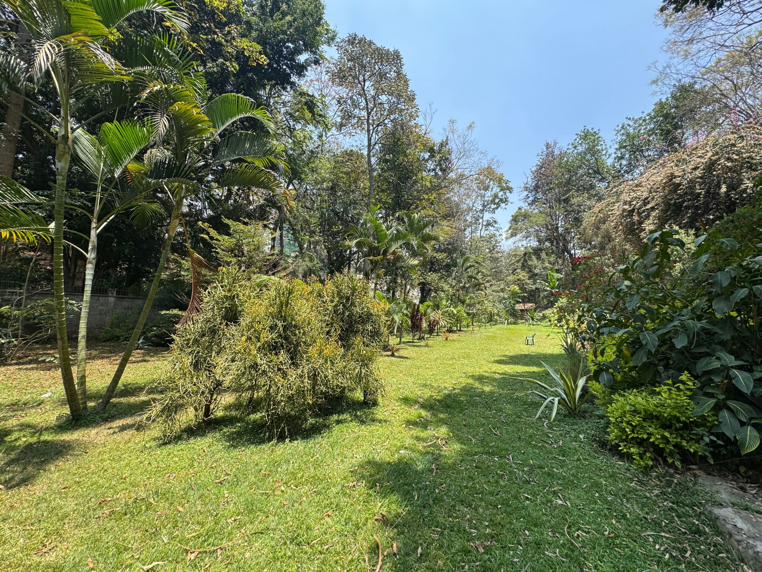 This charming house in Muthaiga exudes character and sits on an expansive, mature garden filled with lush greenery.