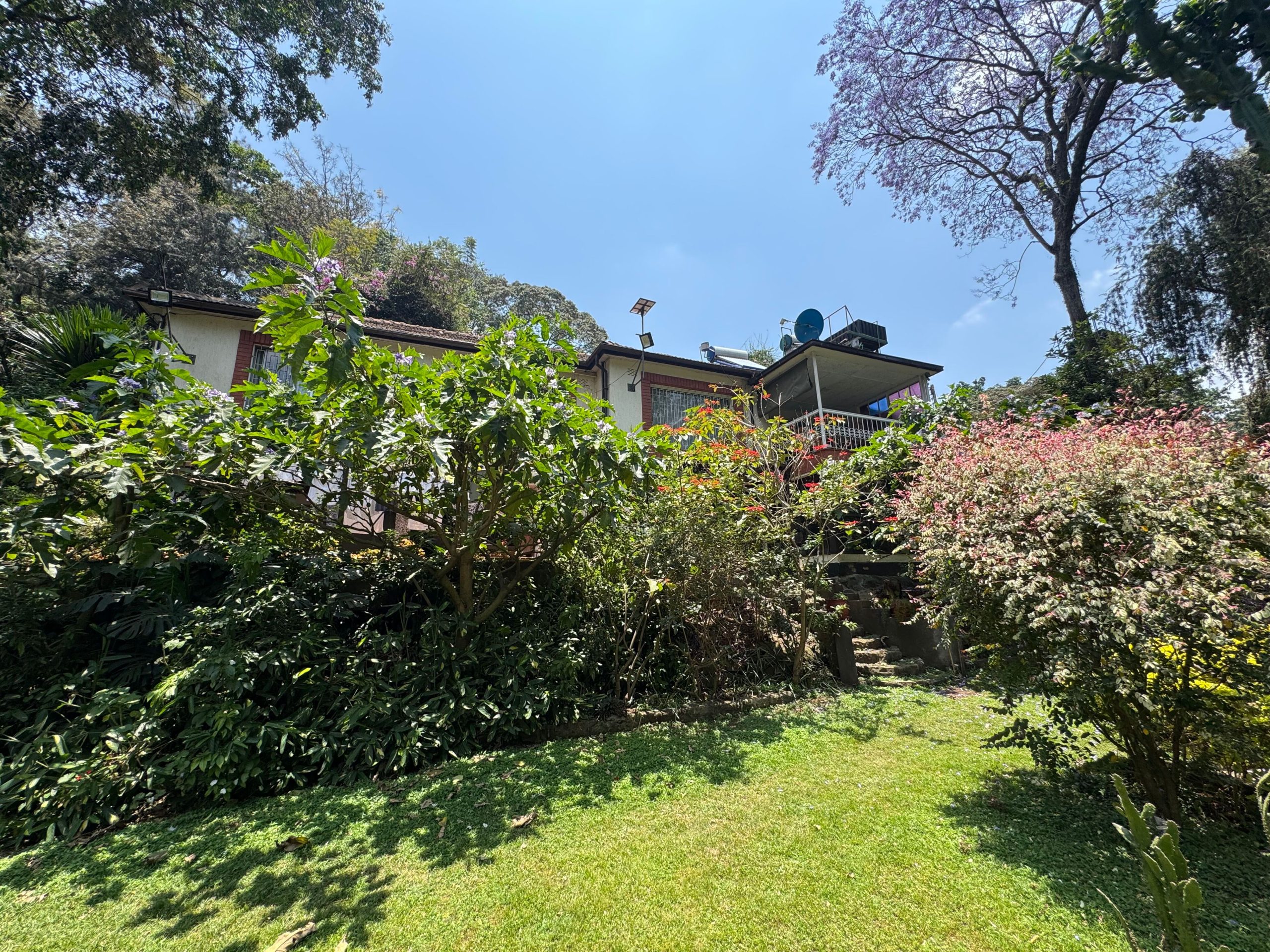 This charming house in Muthaiga exudes character and sits on an expansive, mature garden filled with lush greenery.