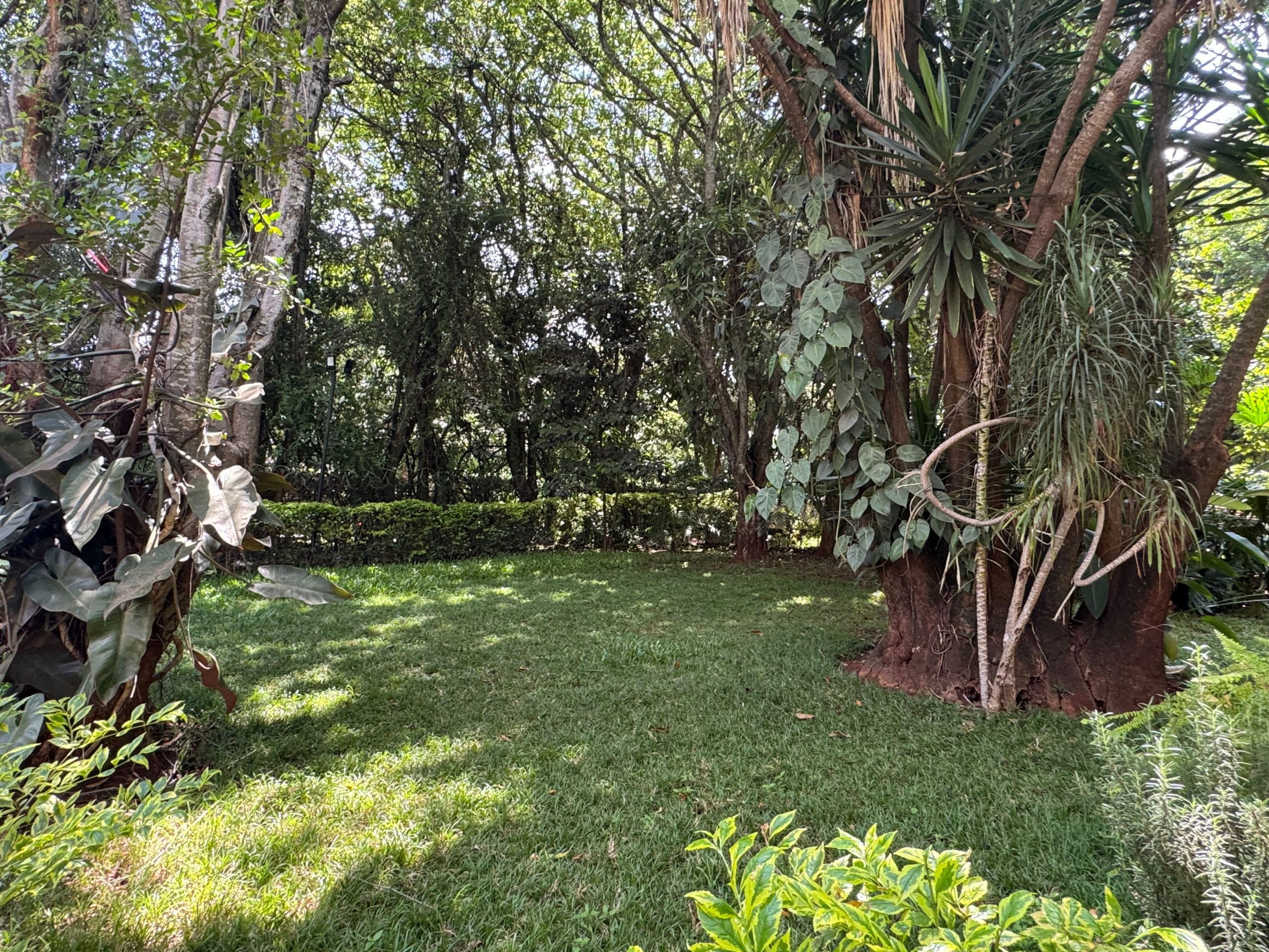 A four bedroom house in a gated compound for sale in Kitisuru