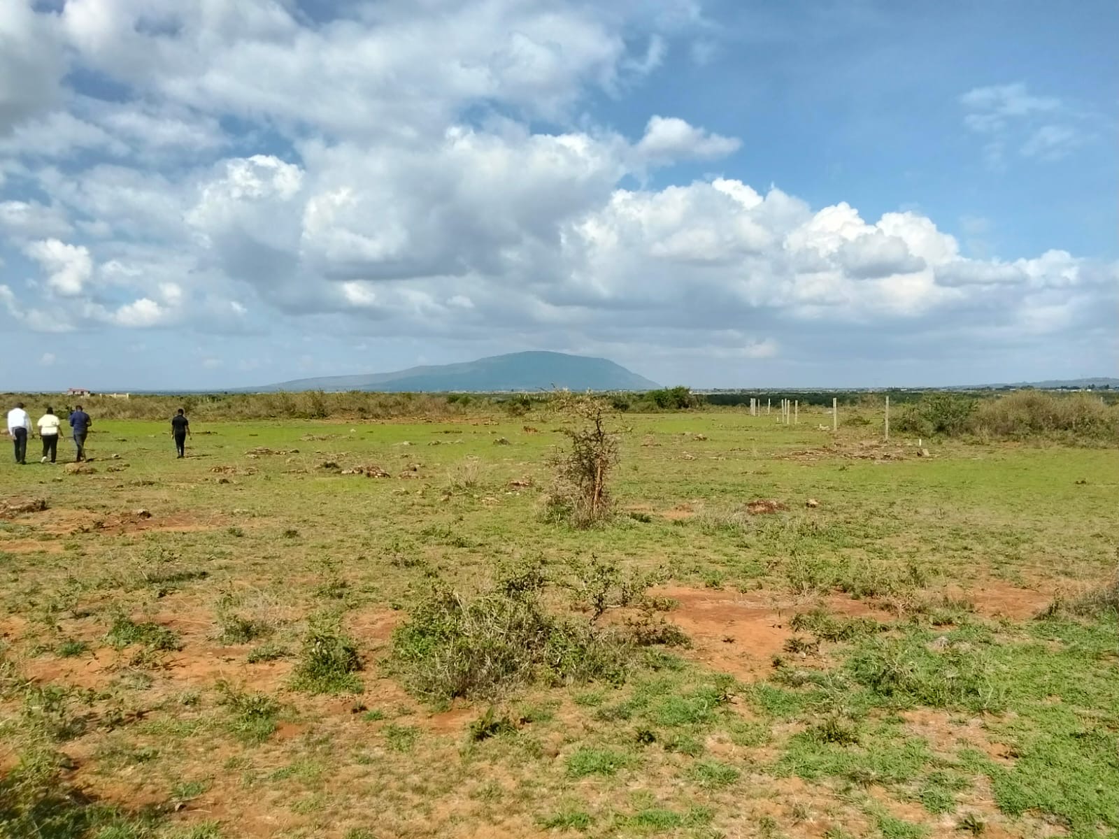 Mwalimu farm – Ruai