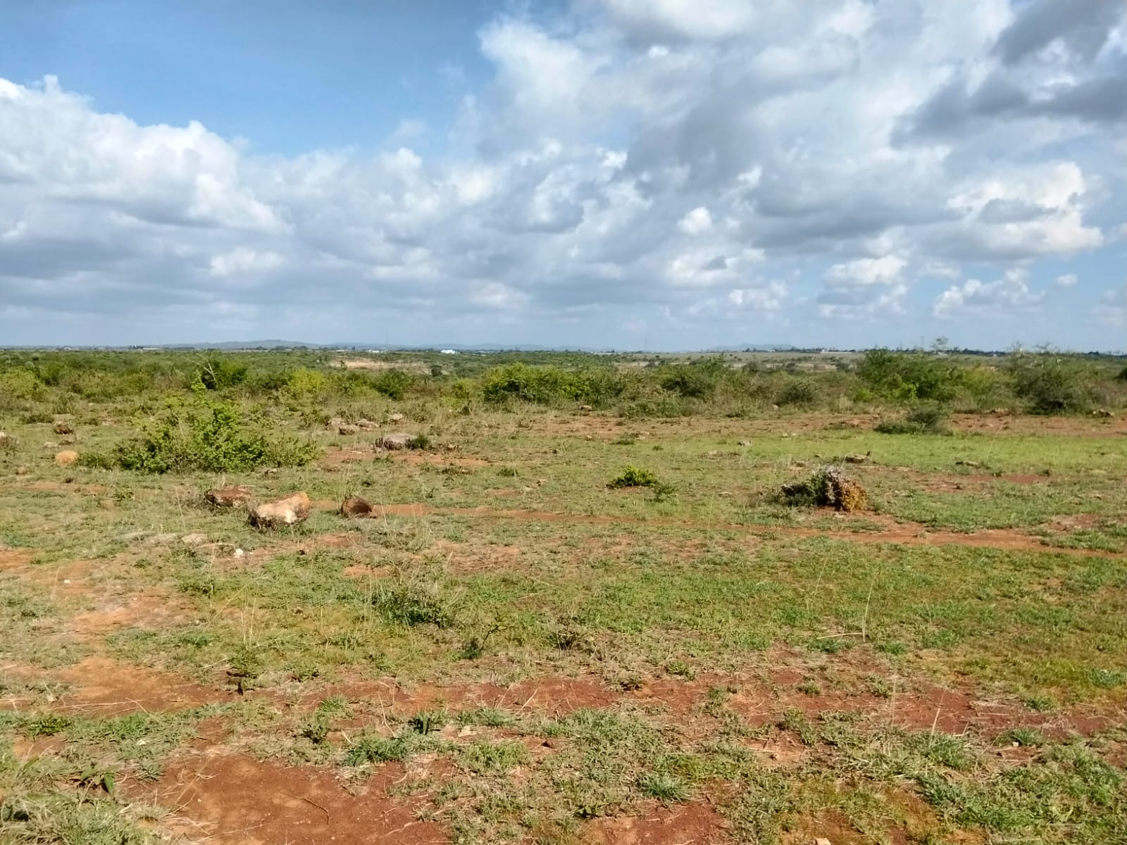 Mwalimu farm – Ruai