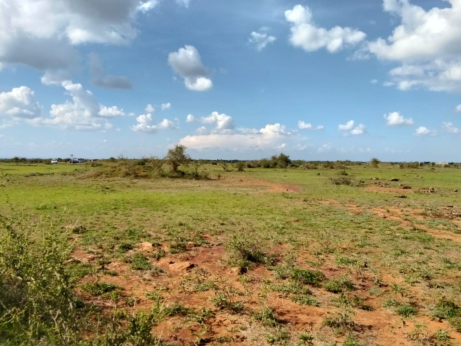 Mwalimu farm – Ruai