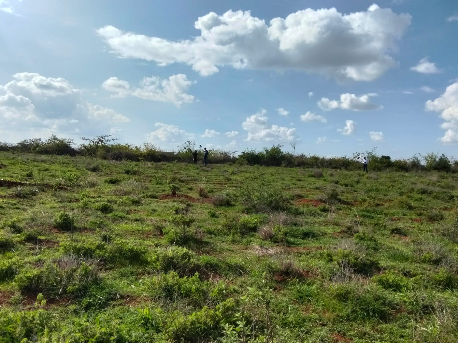 Mwalimu farm – Ruai