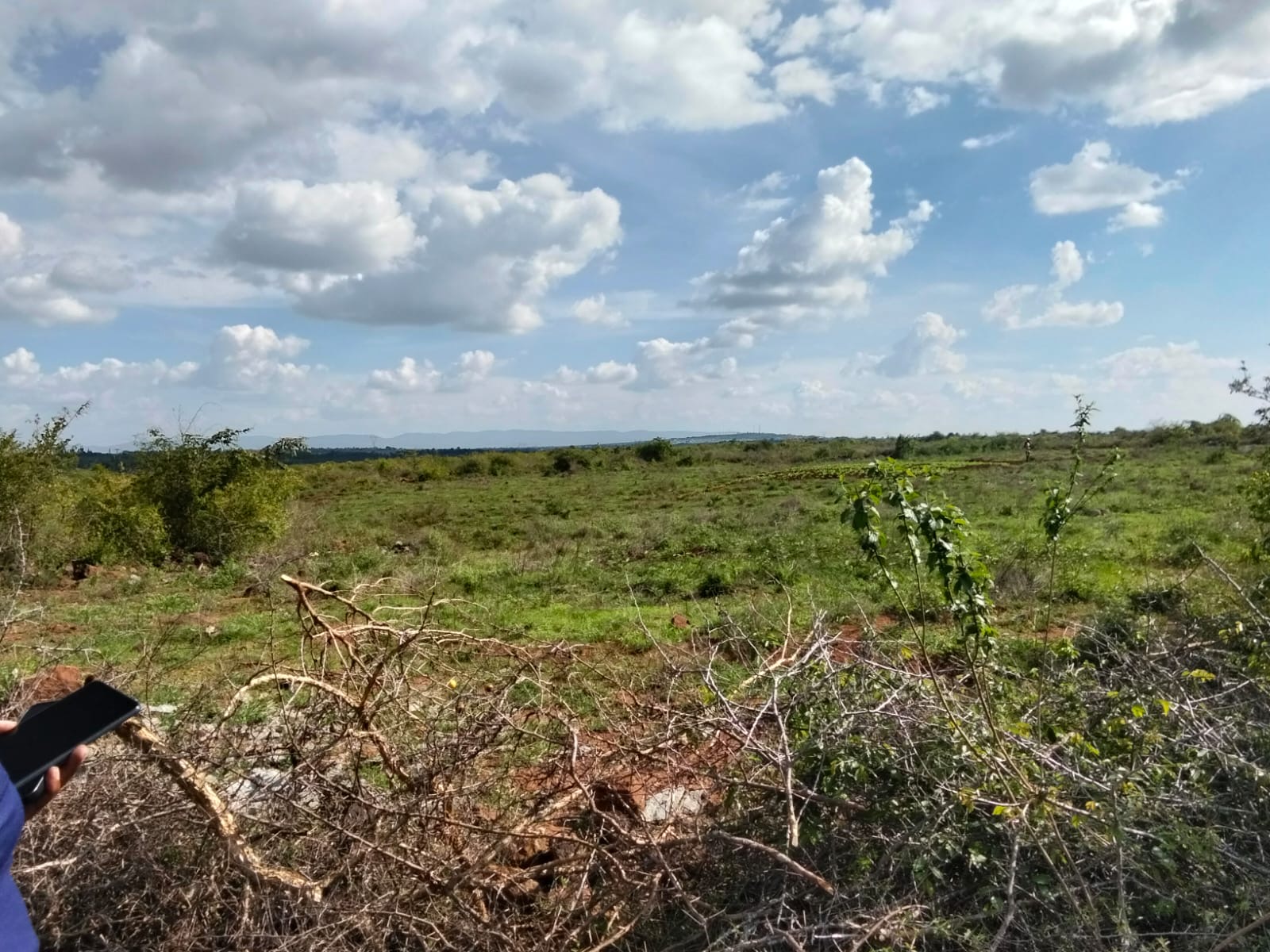 Mwalimu farm – Ruai