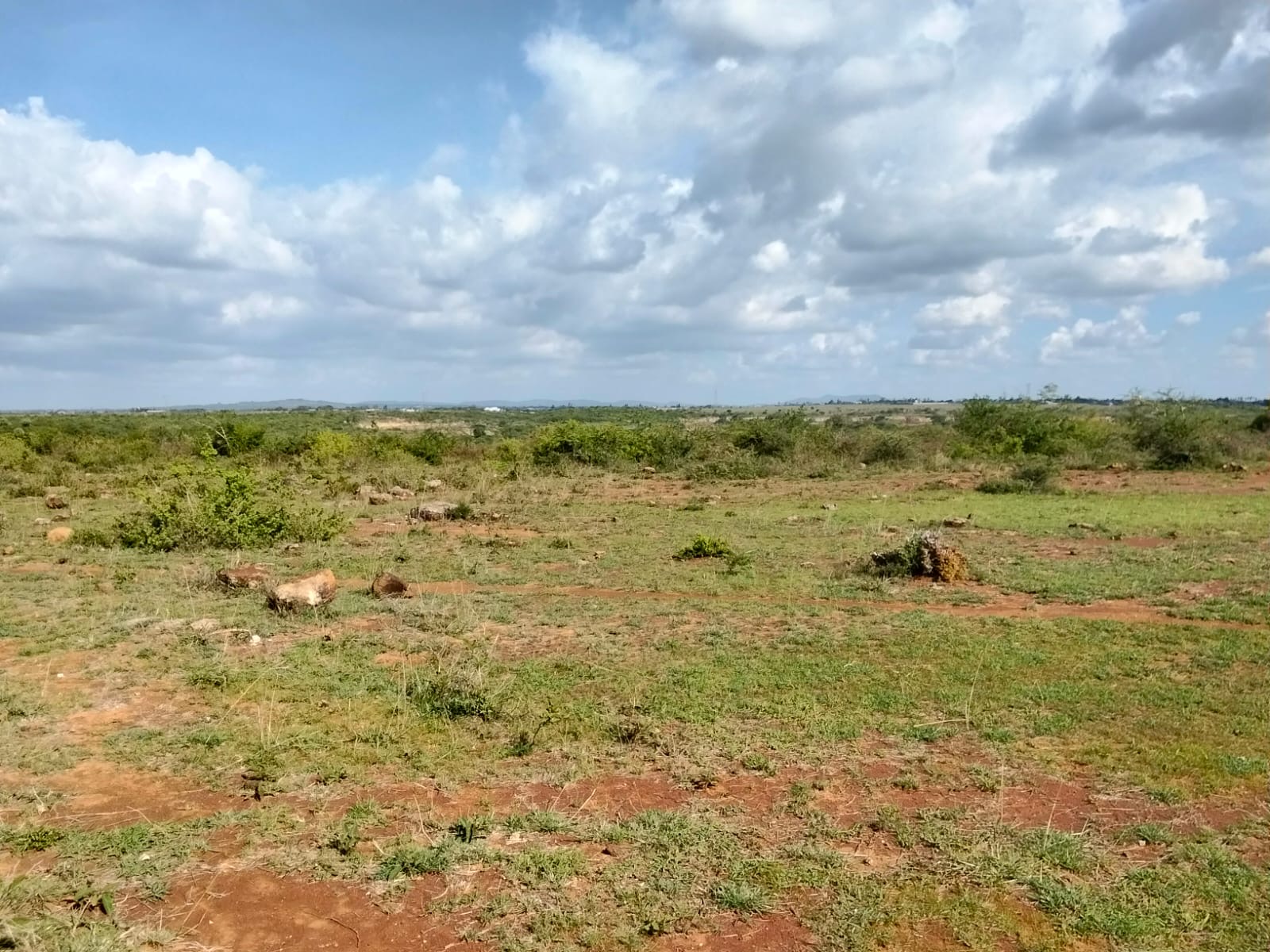 Mwalimu farm – Ruai