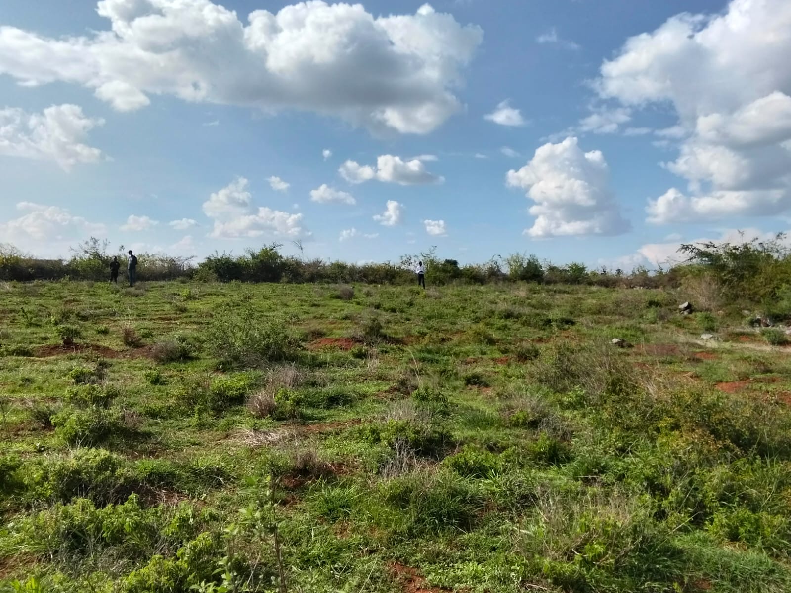 Mwalimu farm – Ruai