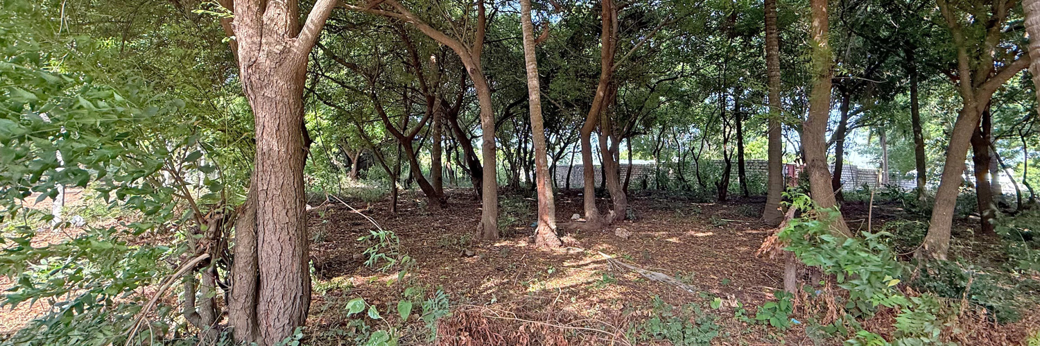 HALF ACRE PLOT FOR SALE
