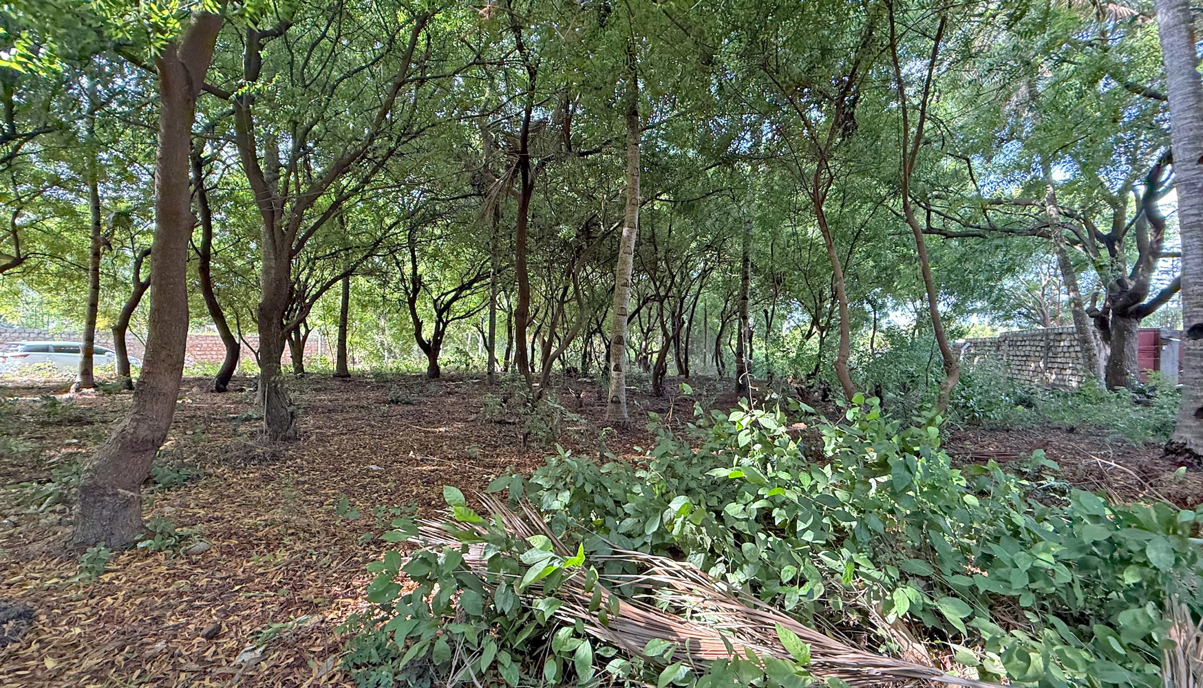 HALF ACRE PLOT FOR SALE