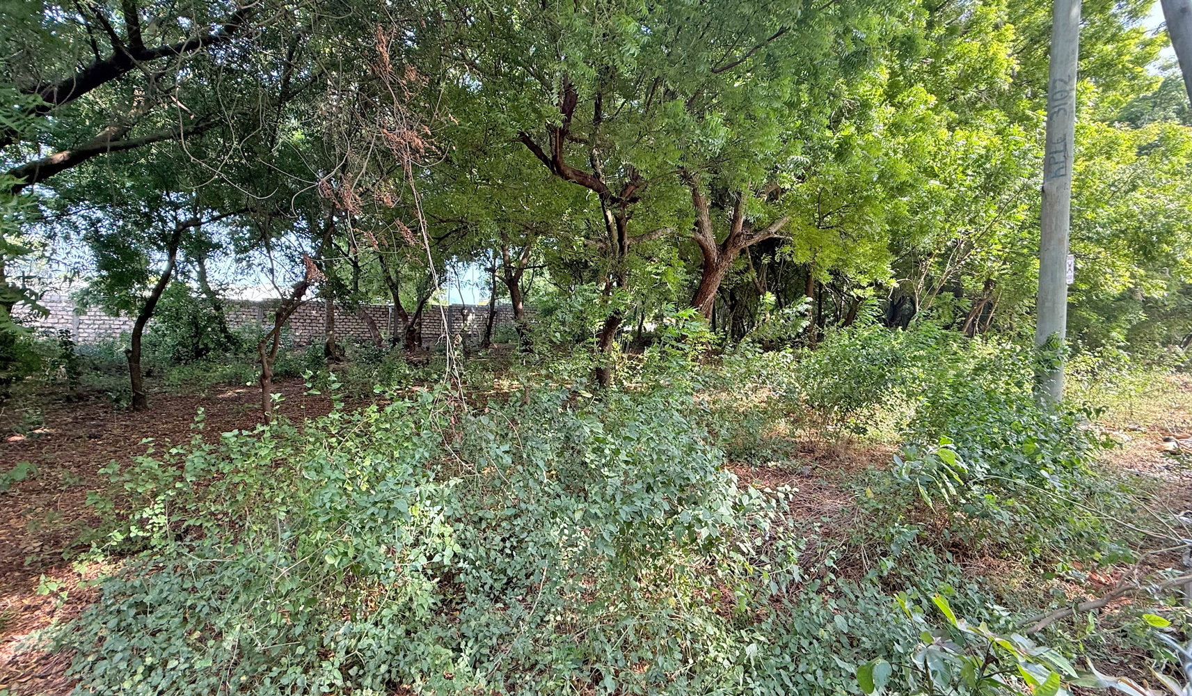 HALF ACRE PLOT FOR SALE