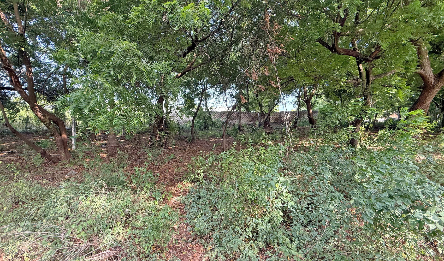 HALF ACRE PLOT FOR SALE