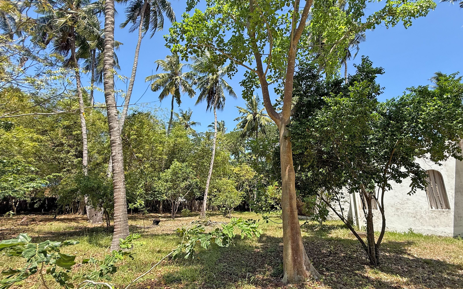 LOVELY 3 BEDROOM HOUSE WITH POOL