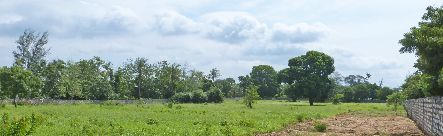 3 Acre undeveloped walled plot