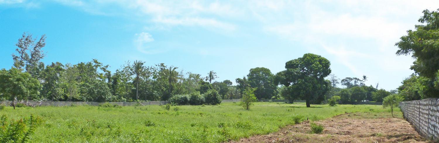 3 Acre undeveloped walled plot