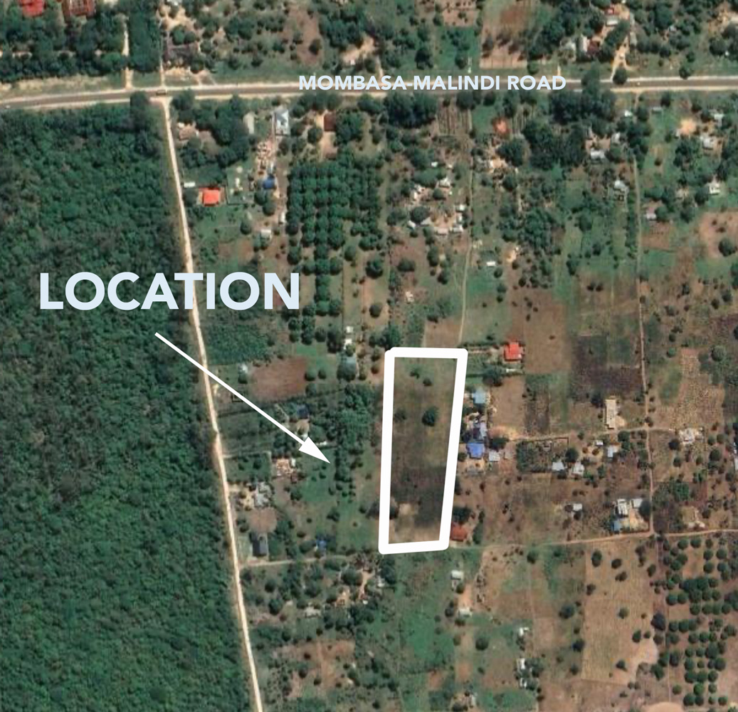 3 Acre undeveloped walled plot