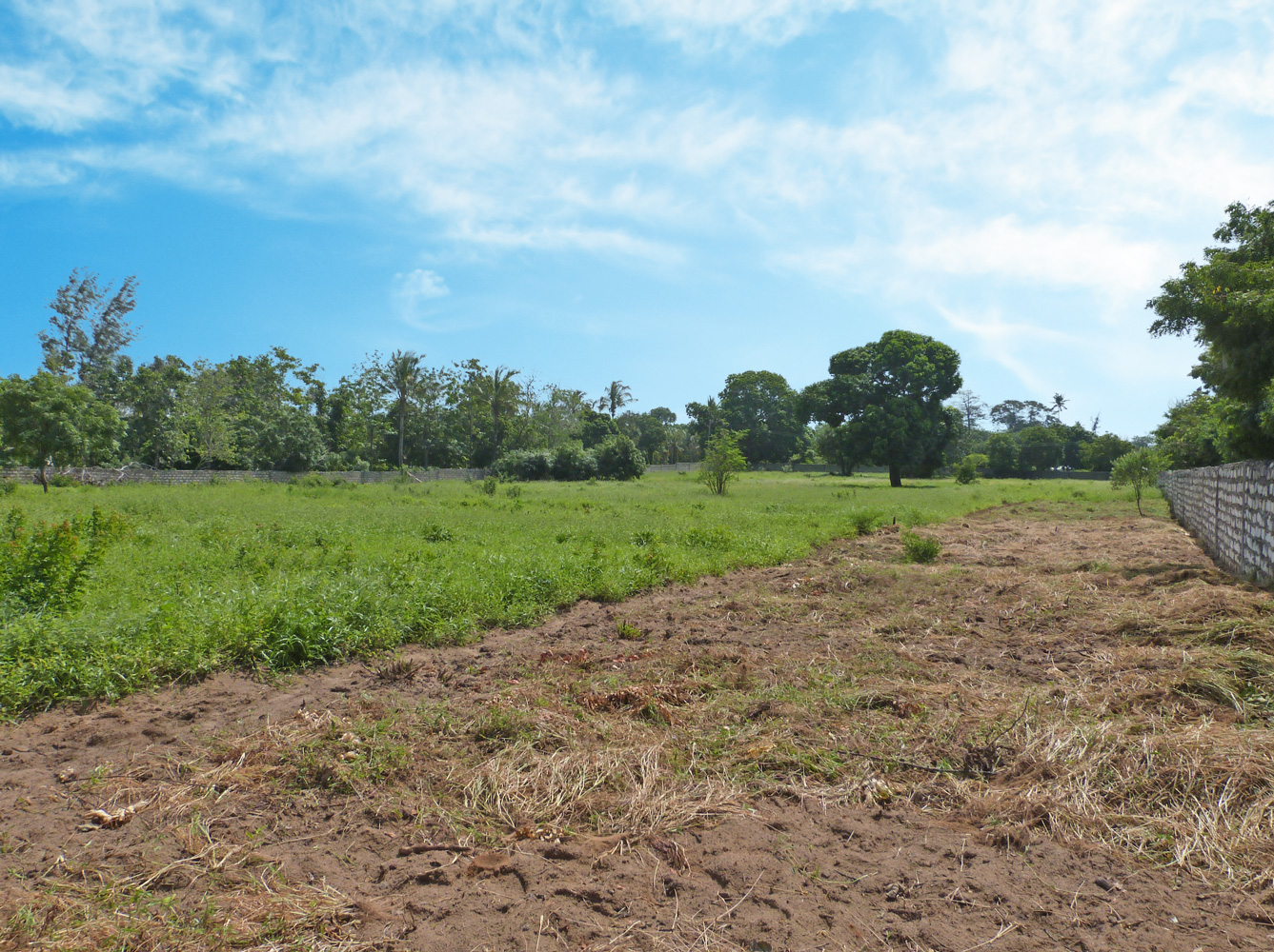 3 Acre undeveloped walled plot