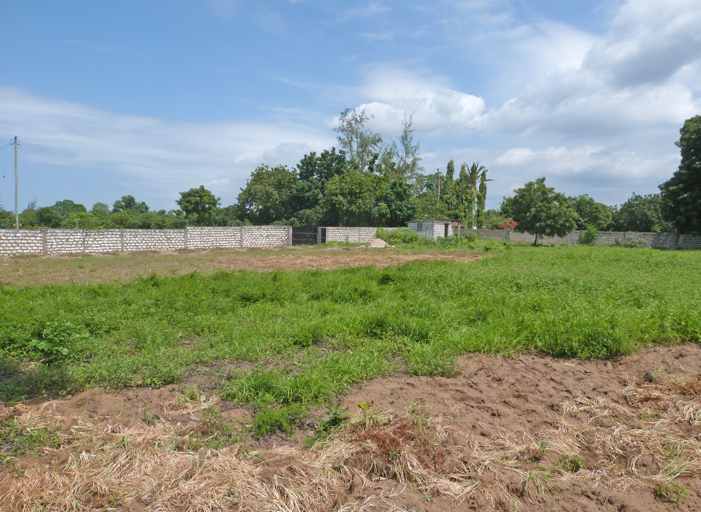 3 Acre undeveloped walled plot