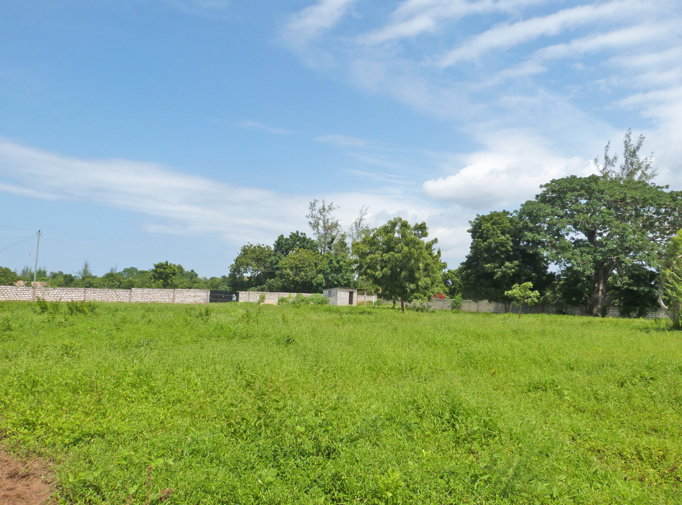 3 Acre undeveloped walled plot